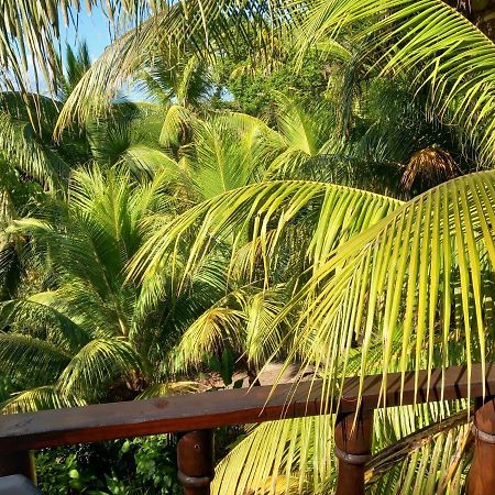Iguana Libre Otel Dominical Dış mekan fotoğraf