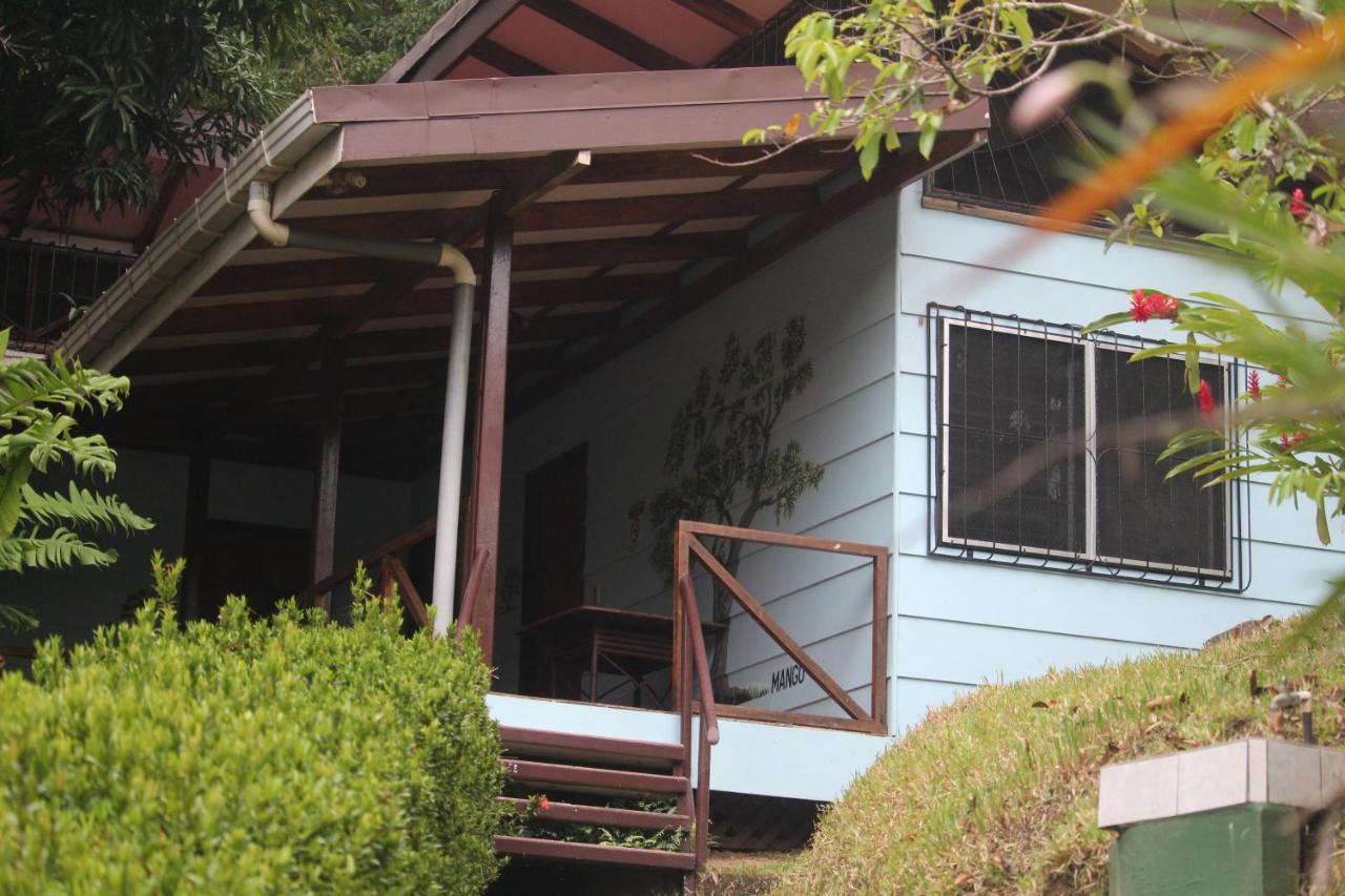 Iguana Libre Otel Dominical Dış mekan fotoğraf