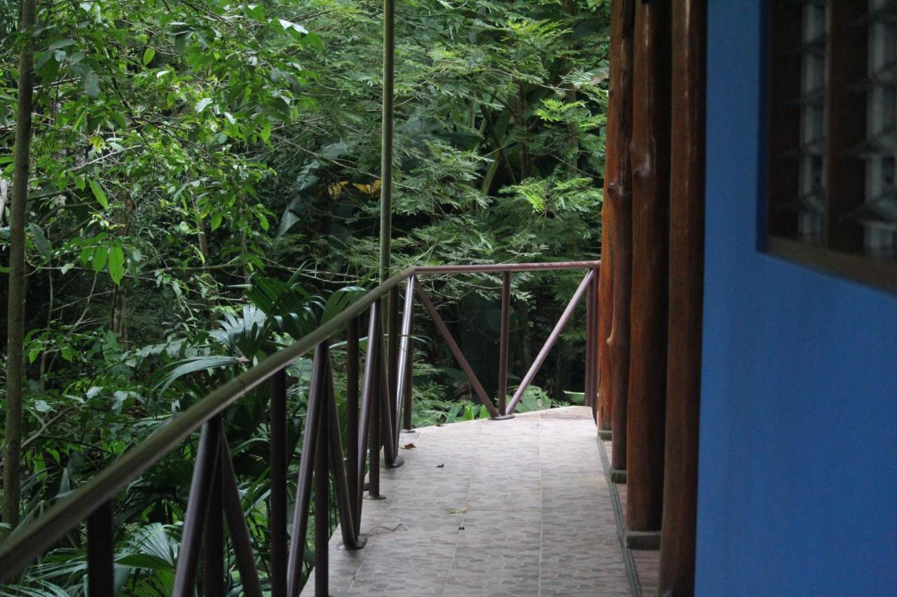 Iguana Libre Otel Dominical Dış mekan fotoğraf