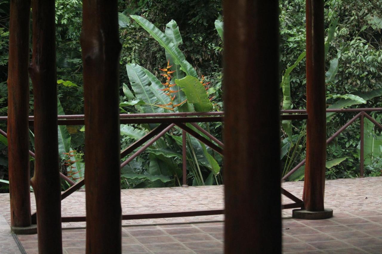 Iguana Libre Otel Dominical Dış mekan fotoğraf
