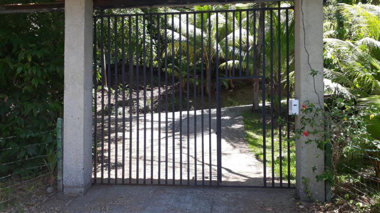 Iguana Libre Otel Dominical Dış mekan fotoğraf