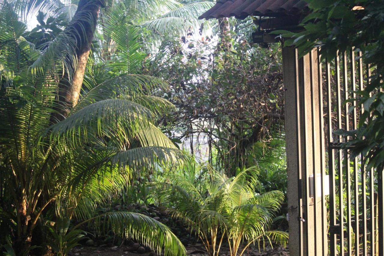 Iguana Libre Otel Dominical Dış mekan fotoğraf