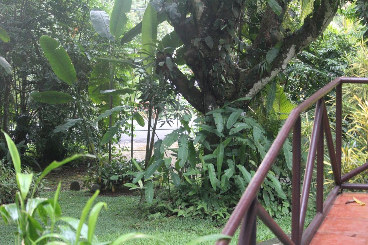 Iguana Libre Otel Dominical Dış mekan fotoğraf