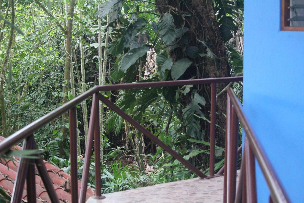 Iguana Libre Otel Dominical Dış mekan fotoğraf