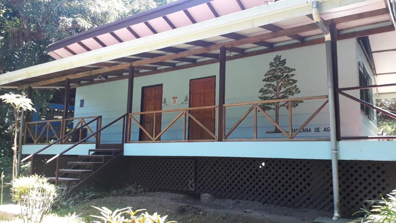 Iguana Libre Otel Dominical Dış mekan fotoğraf