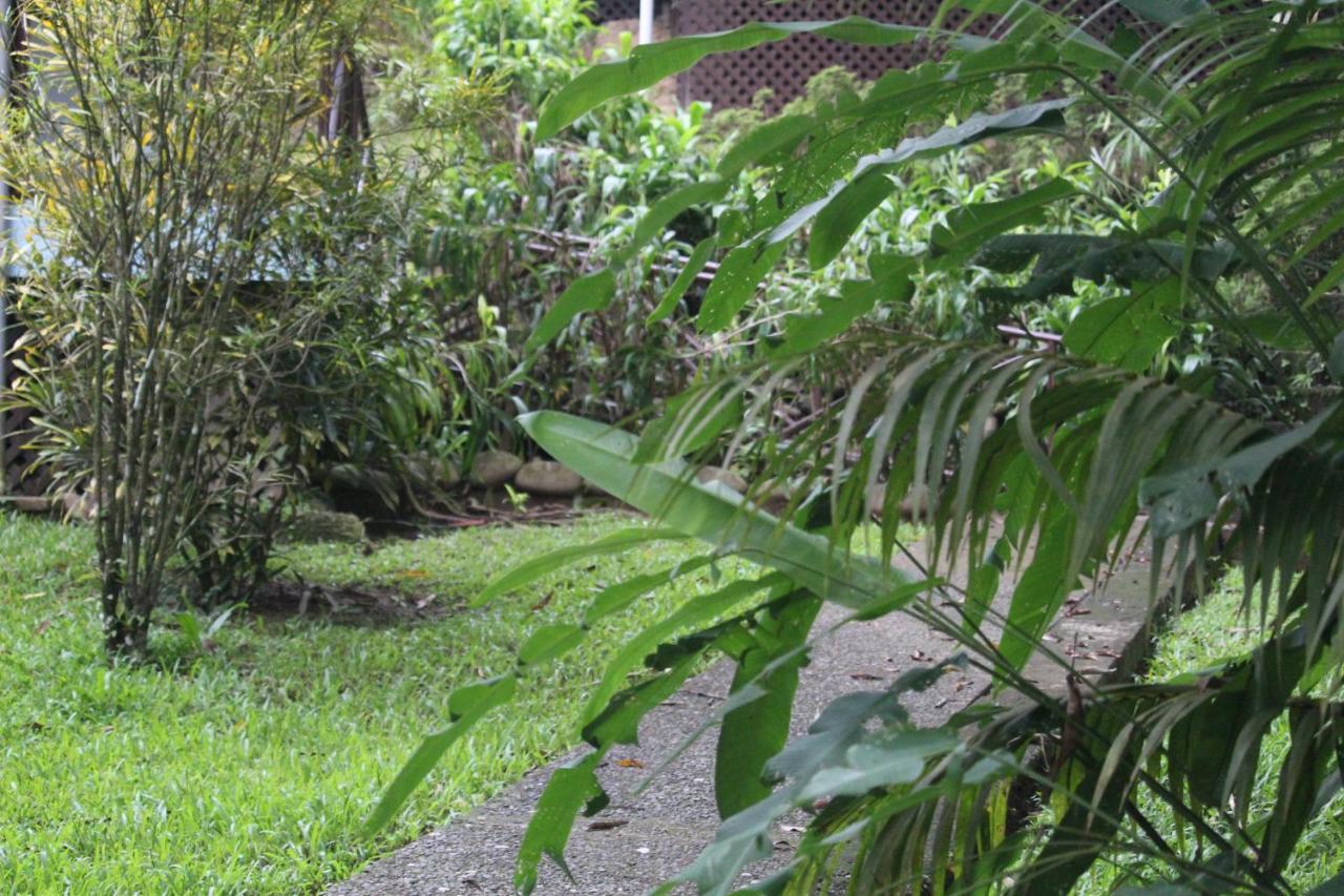 Iguana Libre Otel Dominical Dış mekan fotoğraf