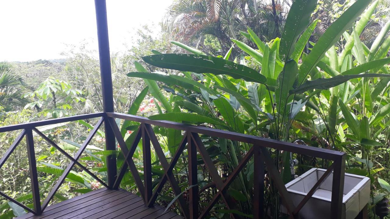 Iguana Libre Otel Dominical Dış mekan fotoğraf